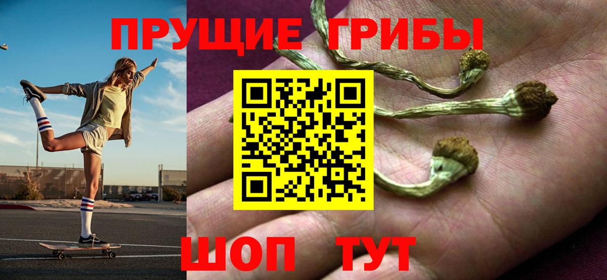 Галлюциногенные грибы мухоморы  Вход с VPN  Псилоцибиновые грибы Psilocybe  Челябинск 